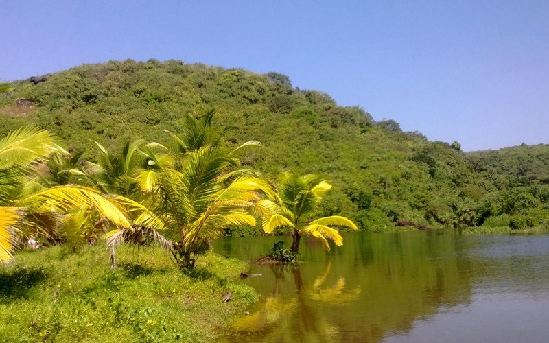 lake view